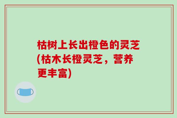 枯树上长出橙色的灵芝(枯木长橙灵芝，营养更丰富)