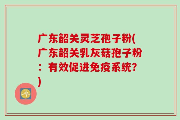 广东韶关灵芝孢子粉(广东韶关乳灰菇孢子粉：有效促进免疫系统？)