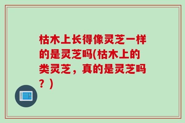 枯木上长得像灵芝一样的是灵芝吗(枯木上的类灵芝，真的是灵芝吗？)