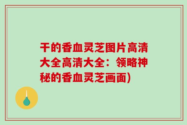 干的香血灵芝图片高清大全高清大全：领略神秘的香血灵芝画面)
