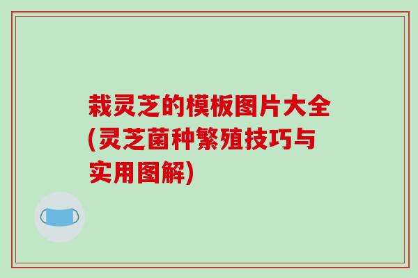 栽灵芝的模板图片大全(灵芝菌种繁殖技巧与实用图解)