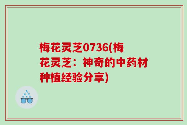 梅花灵芝0736(梅花灵芝：神奇的中药材种植经验分享)