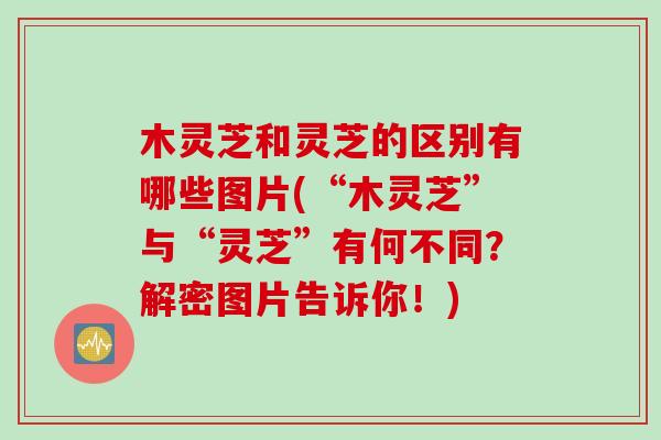 木灵芝和灵芝的区别有哪些图片(“木灵芝”与“灵芝”有何不同？解密图片告诉你！)
