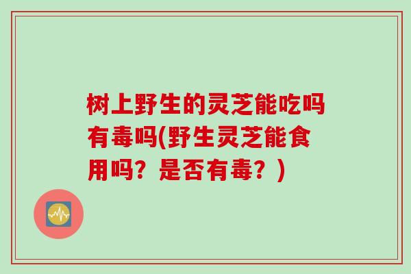 树上野生的灵芝能吃吗有毒吗(野生灵芝能食用吗？是否有毒？)