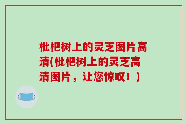 枇杷树上的灵芝图片高清(枇杷树上的灵芝高清图片，让您惊叹！)