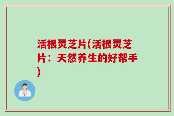 活根灵芝片(活根灵芝片：天然养生的好帮手)