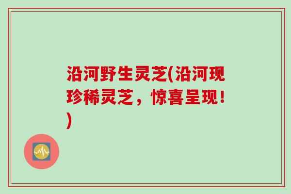 沿河野生灵芝(沿河现珍稀灵芝，惊喜呈现！)