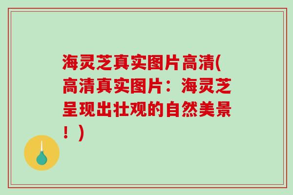 海灵芝真实图片高清(高清真实图片：海灵芝呈现出壮观的自然美景！)