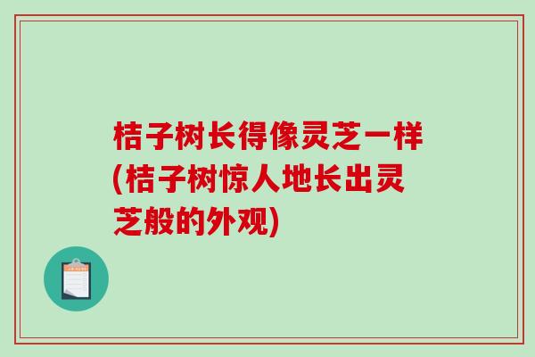桔子树长得像灵芝一样(桔子树惊人地长出灵芝般的外观)