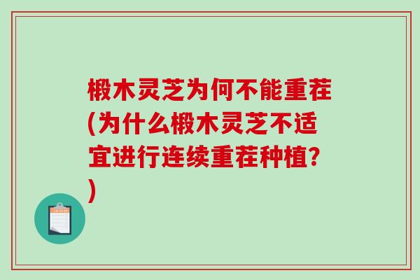 椴木灵芝为何不能重茬(为什么椴木灵芝不适宜进行连续重茬种植？)