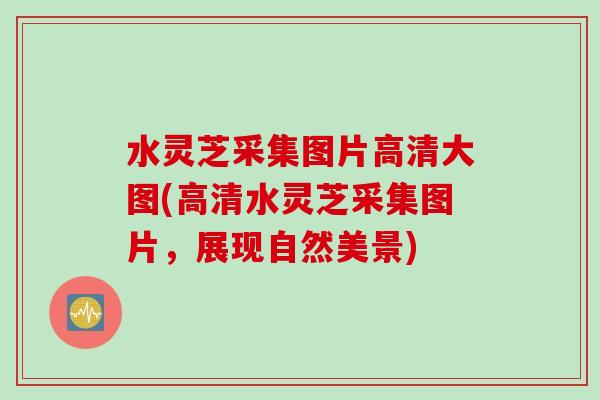 水灵芝采集图片高清大图(高清水灵芝采集图片，展现自然美景)