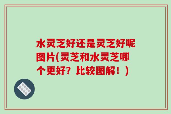 水灵芝好还是灵芝好呢图片(灵芝和水灵芝哪个更好？比较图解！)