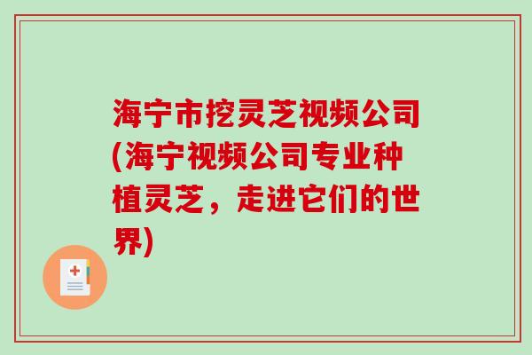 海宁市挖灵芝视频公司(海宁视频公司专业种植灵芝，走进它们的世界)