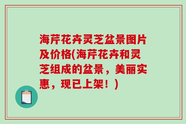 海芹花卉灵芝盆景图片及价格(海芹花卉和灵芝组成的盆景，美丽实惠，现已上架！)