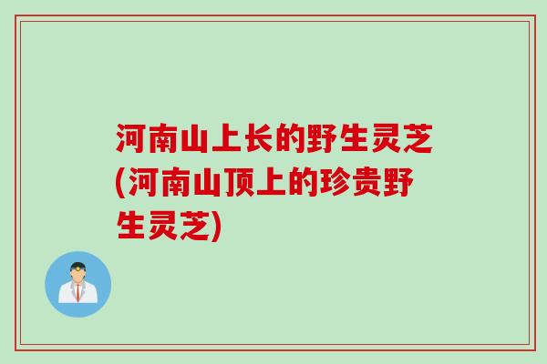 河南山上长的野生灵芝(河南山顶上的珍贵野生灵芝)