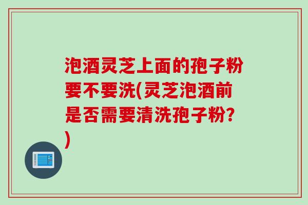 泡酒灵芝上面的孢子粉要不要洗(灵芝泡酒前是否需要清洗孢子粉？)