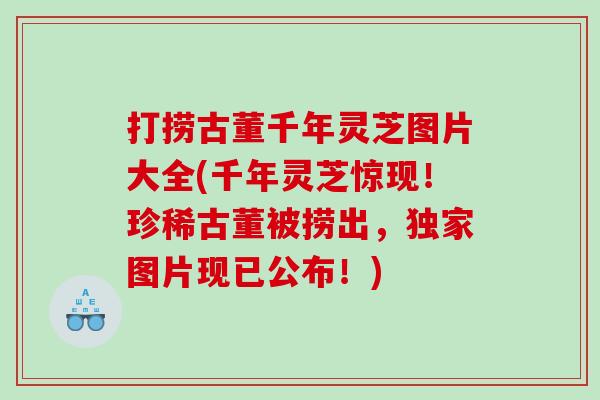 打捞古董千年灵芝图片大全(千年灵芝惊现！珍稀古董被捞出，独家图片现已公布！)