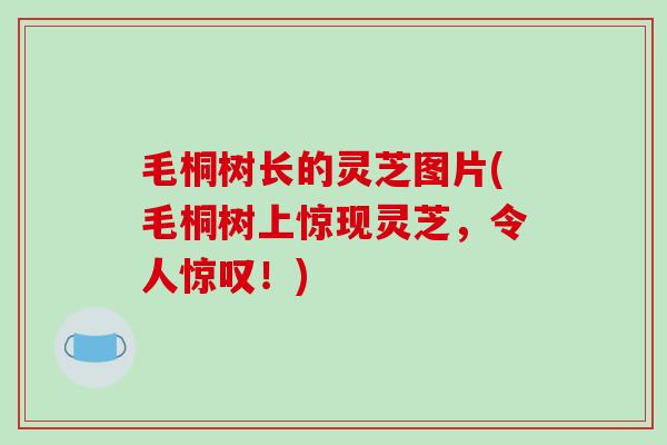 毛桐树长的灵芝图片(毛桐树上惊现灵芝，令人惊叹！)
