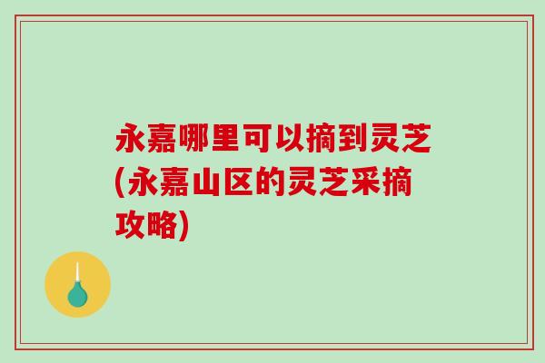 永嘉哪里可以摘到灵芝(永嘉山区的灵芝采摘攻略)