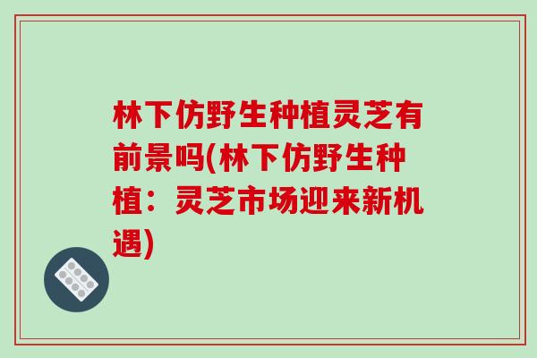 林下仿野生种植灵芝有前景吗(林下仿野生种植：灵芝市场迎来新机遇)