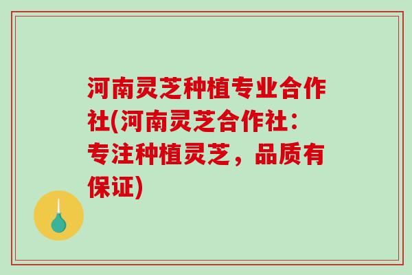 河南灵芝种植专业合作社(河南灵芝合作社：专注种植灵芝，品质有保证)