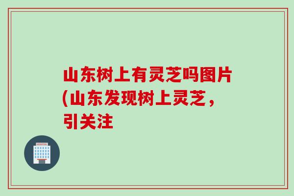 山东树上有灵芝吗图片(山东发现树上灵芝，引关注