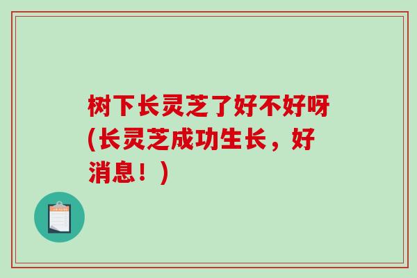 树下长灵芝了好不好呀(长灵芝成功生长，好消息！)