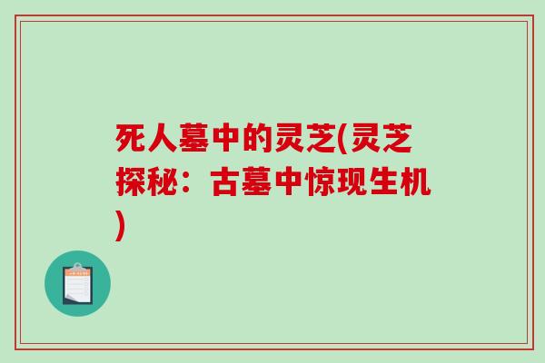 死人墓中的灵芝(灵芝探秘：古墓中惊现生机)