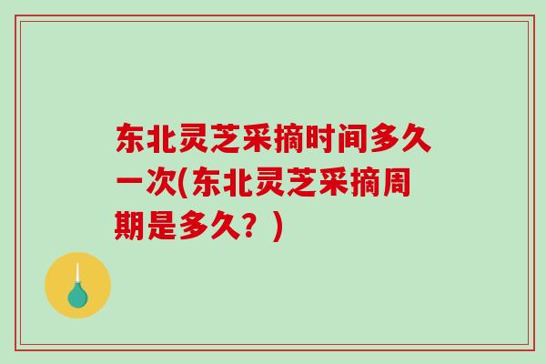 东北灵芝采摘时间多久一次(东北灵芝采摘周期是多久？)