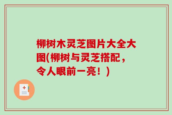 柳树木灵芝图片大全大图(柳树与灵芝搭配，令人眼前一亮！)