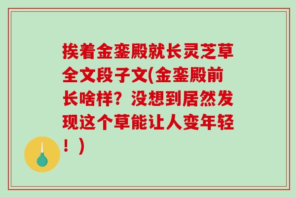 挨着金銮殿就长灵芝草全文段子文(金銮殿前长啥样？没想到居然发现这个草能让人变年轻！)