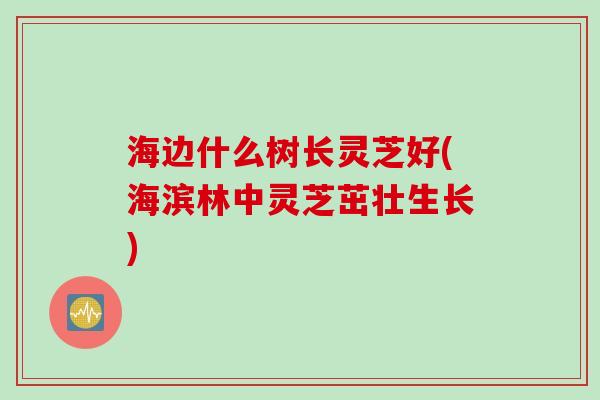 海边什么树长灵芝好(海滨林中灵芝茁壮生长)