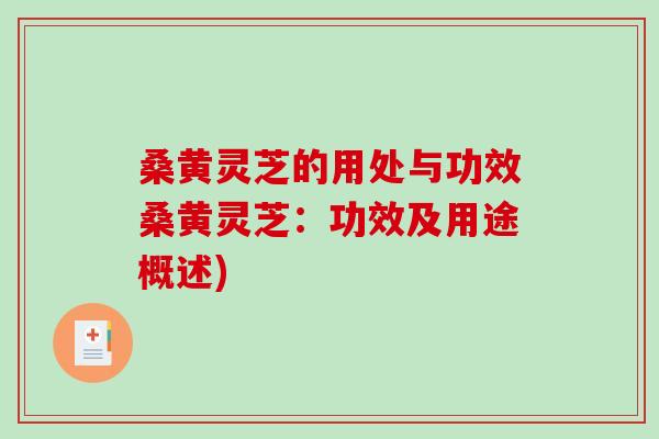 桑黄灵芝的用处与功效桑黄灵芝：功效及用途概述)