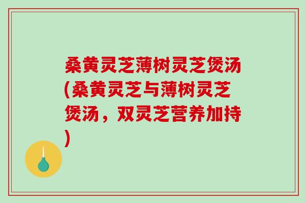 桑黄灵芝薄树灵芝煲汤(桑黄灵芝与薄树灵芝煲汤,双灵芝营养加持) 桑黄灵芝薄树灵芝煲汤(桑黄灵芝与薄树灵芝煲汤,双灵芝营养加持)