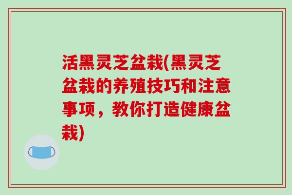 活黑灵芝盆栽(黑灵芝盆栽的养殖技巧和注意事项，教你打造健康盆栽)