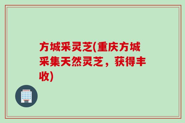 方城采灵芝(重庆方城采集天然灵芝，获得丰收)