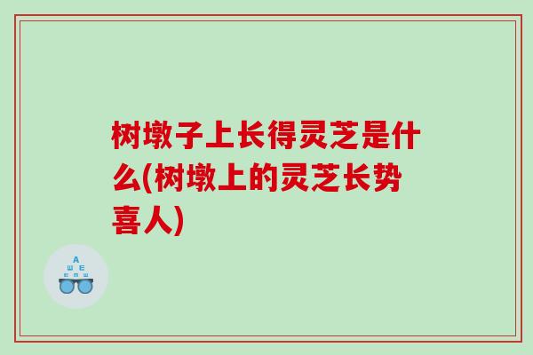树墩子上长得灵芝是什么(树墩上的灵芝长势喜人)