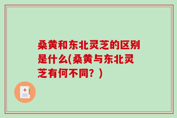 桑黄和东北灵芝的区别是什么(桑黄与东北灵芝有何不同？)