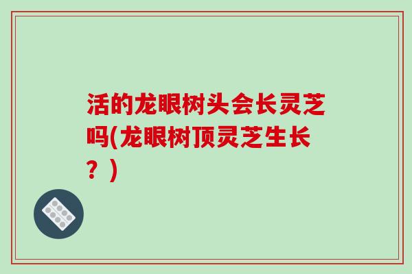 活的龙眼树头会长灵芝吗(龙眼树顶灵芝生长？)