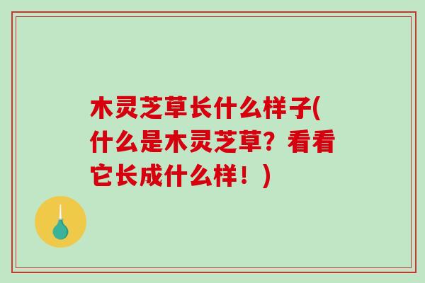 木灵芝草长什么样子(什么是木灵芝草？看看它长成什么样！)