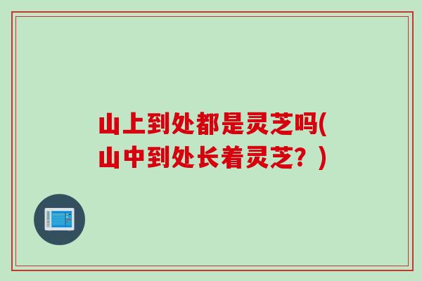 山上到处都是灵芝吗(山中到处长着灵芝？)
