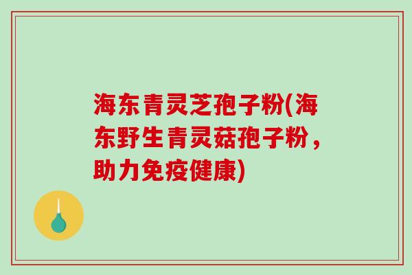 海东青灵芝孢子粉(海东野生青灵菇孢子粉，助力免疫健康)