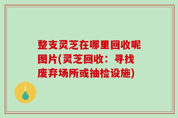 整支灵芝在哪里回收呢图片(灵芝回收：寻找废弃场所或抽检设施)