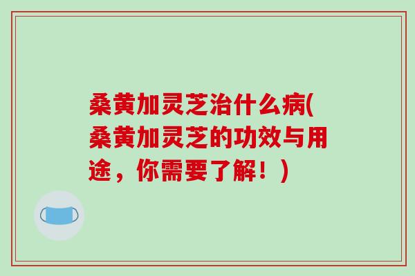 桑黄加灵芝治什么病(桑黄加灵芝的功效与用途，你需要了解！)
