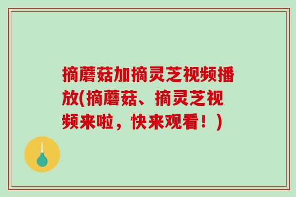 摘蘑菇加摘灵芝视频播放(摘蘑菇、摘灵芝视频来啦，快来观看！)