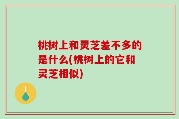 桃树上和灵芝差不多的是什么(桃树上的它和灵芝相似)