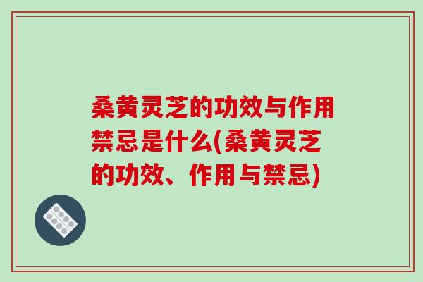 桑黄灵芝的功效与作用禁忌是什么(桑黄灵芝的功效、作用与禁忌)
