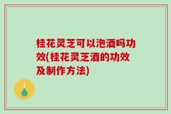 桂花灵芝可以泡酒吗功效(桂花灵芝酒的功效及制作方法)