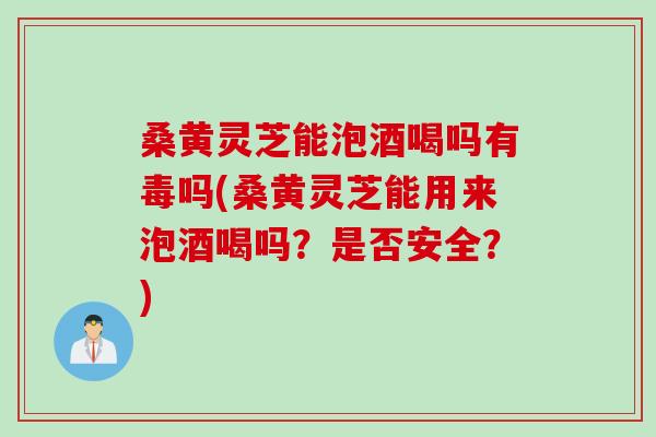 桑黄灵芝能泡酒喝吗有毒吗(桑黄灵芝能用来泡酒喝吗？是否安全？)