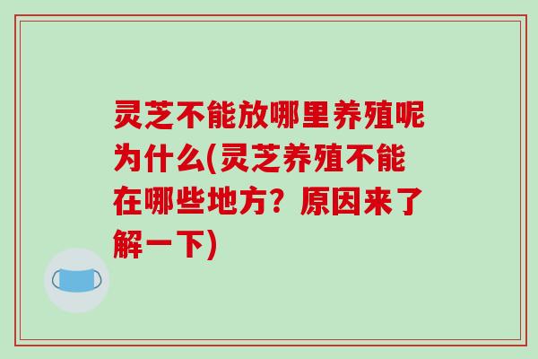 灵芝不能放哪里养殖呢为什么(灵芝养殖不能在哪些地方？原因来了解一下)